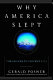 Why America slept : the failure to prevent 9/11 /