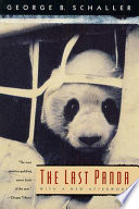 The last panda /