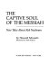 The captive soul of the messiah : new tales about Reb Nachman /