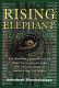 Rising elephant : the growing clash with India over white-collar jobs and its meaning for America and the world /