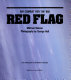 Red flag : air combat for the '80s /