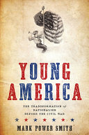 Young America : the transformation of nationalism before the Civil War /