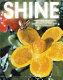Shine : wensdroom en toekomstvisioen in de hedendaagse kunst = wishful fantasies and visions of the future in contemporary art /
