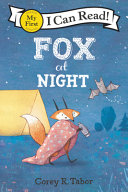 Fox at night /