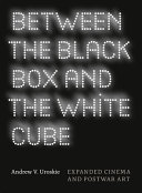 Between the black box and the white cube : expanded cinema and postwar art /