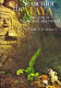 Search for the Maya: the story of Stephens and Catherwood /