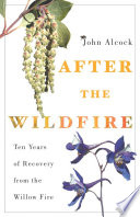 After the wildfire : ten years of recovery from the Willow Fire /