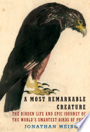 A most remarkable creature : the hidden life and epic journey of the world's smartest birds of prey /