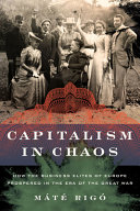 Capitalism in chaos : how the business elites of Europe prospered in the era of the Great War /